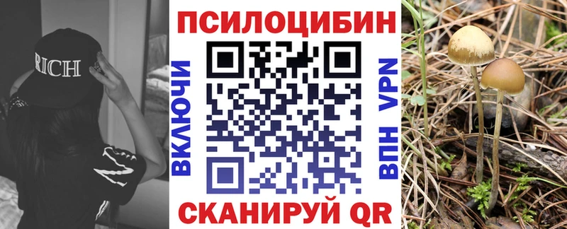 Купить где  Городец  Псилоцибиновые грибы мухоморы 